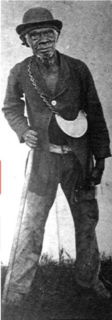 Billy Murphy (King "Yellow Billy"), Segenhoe c1895